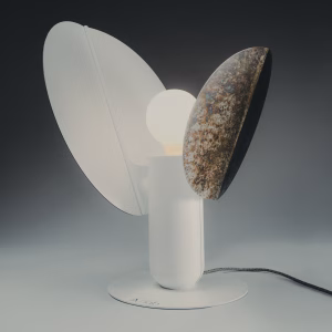 Ficus Autumn spots | ARMONIUSLAB - Image 2