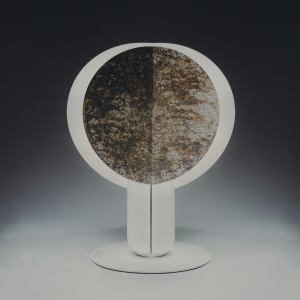 Ficus Autumn spots | ARMONIUSLAB - Image 4