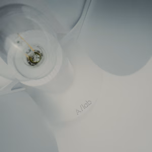 Ficus Autumn spots | ARMONIUSLAB - Image 3
