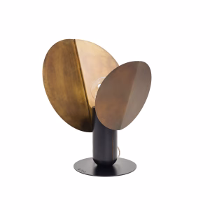 Ficus Sunset gold | ARMONIUSLAB