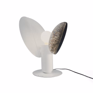 Ficus Autumn spots | ARMONIUSLAB