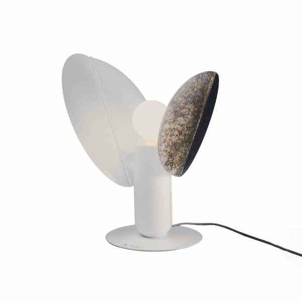 Ficus Autumn spots | ARMONIUSLAB